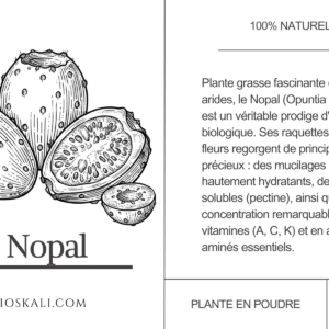 Nopal (نوارة الكرموس الهندي) - 50g – Image 2