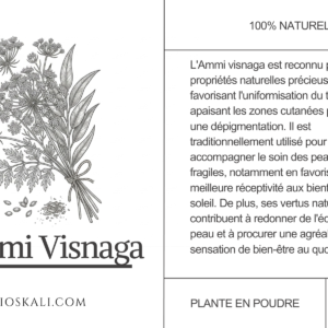 Alternative view of Ammi Visnaga (البشنيخة) - 50g