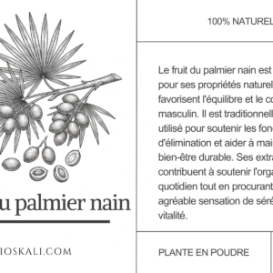 Alternative view of Le Fruit du Palmier Nain (الغاز) - 50g