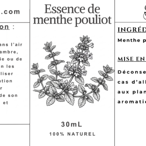 Essence de Menthe Pouliot - 30ml – Image 2